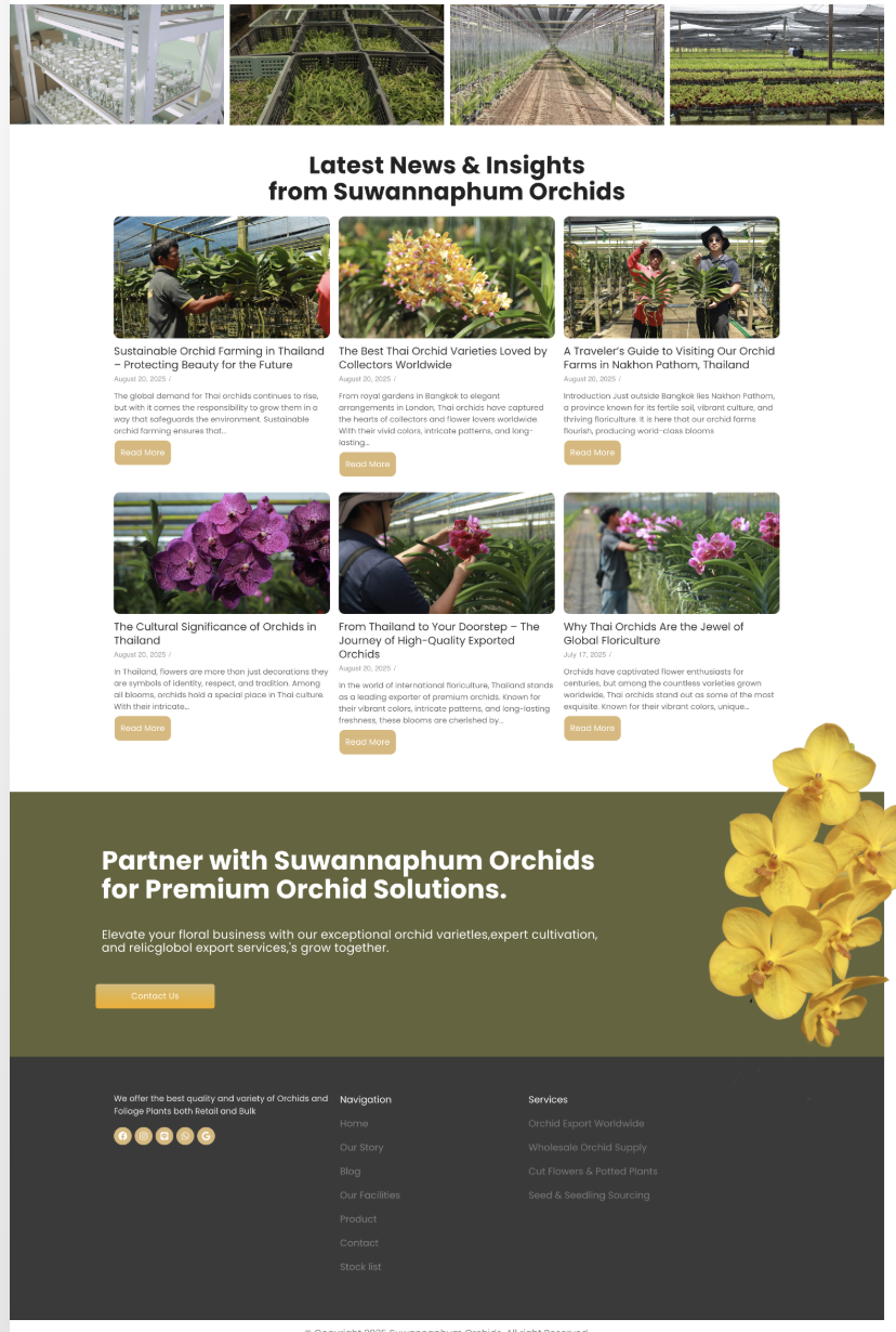 เว็บไซต์องค์กรตัวอย่าง #3
